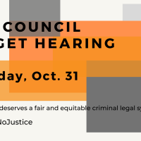 CITY COUNCIL BUDGET HEARING
